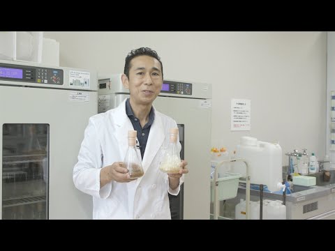 環境学科 公立鳥取環境大学　模擬授業「ゴムを再資源化するキノコ？！」環境学部　佐藤伸