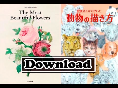 Pack How to Draw - Animals, Insects and Nature