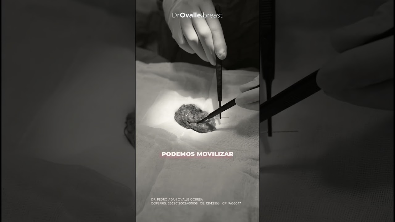 Pedro Adan Ovalle Correa-6