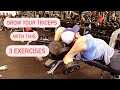 Get Big Triceps | Mike O'Hearn