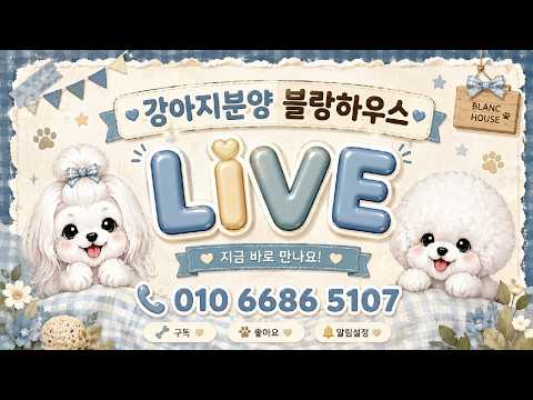 ????초대박신입생입소!!!!???? 라이브 방송 #라이브 #강…