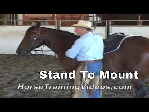 Horse Training - Stand Still to Mount
