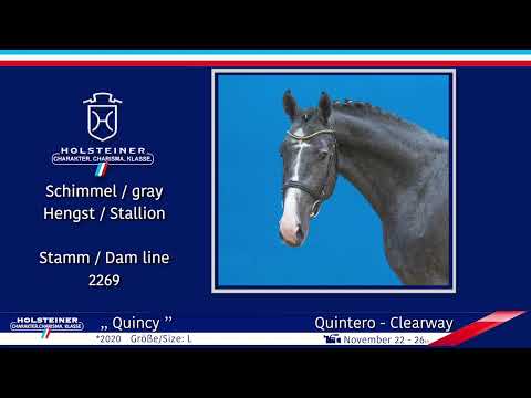 4. Holsteiner Winter-Chance 2022 | Nr. 122 v. Quintero - Clearway