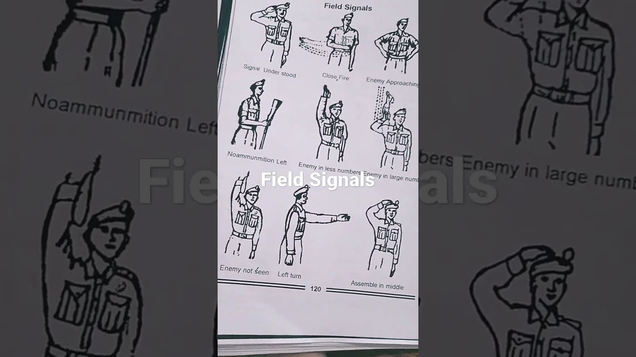 #field #signals  #ncc  #cadetsdefenceacademy #certificate