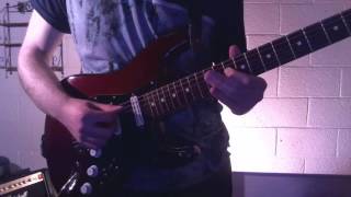 Wild Flag - Electric Band (guitar cover)