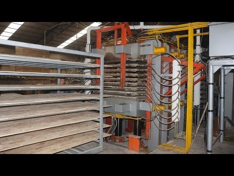 Automatic blockboard machine production line