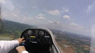 Turn Signal Confusion