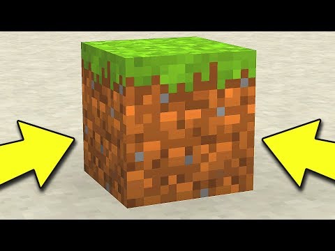 GIOCARE CON 1 SOLO BLOCCO SU MINECRAFT!!!