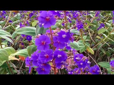 sadrisco333 - missing u