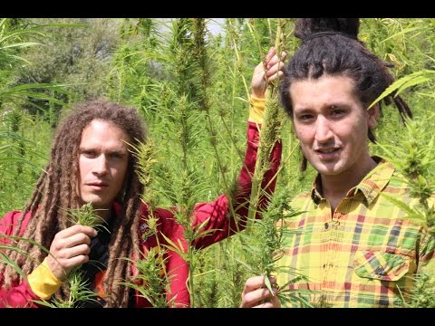 BROUSSAÏ - SOIF DE LIBERTE (GENERATION H)