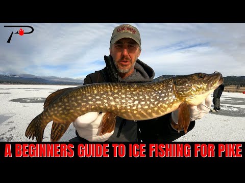A Beginners Guide To Ice Fishing For Pike