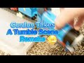 Gordon Takes A Tumble Scene Remake