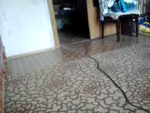 Natan feat Timati - ???????