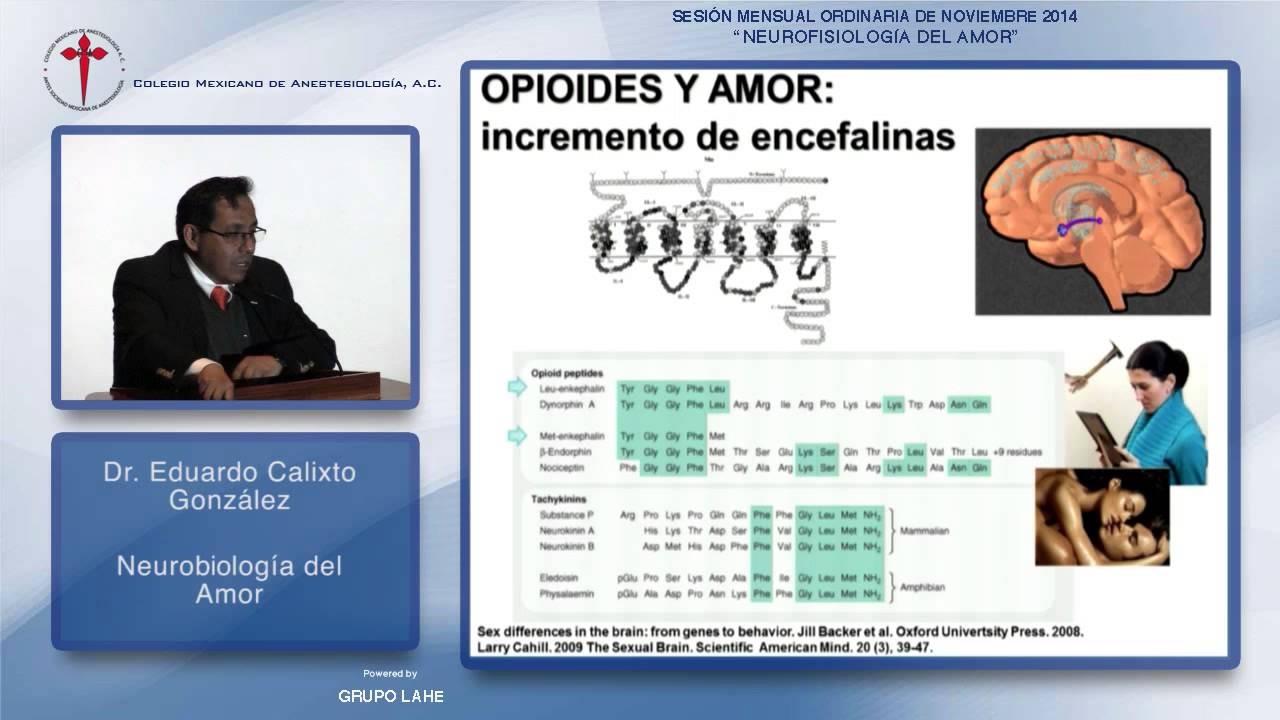 Dr. Eduardo Calixto González, Fisiobiología del Amor - 01/12/2014