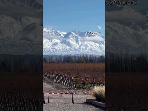 Cabañas El Maiten Vistalba 📲 261 699-2655 Mendoza Luján de Cuyo