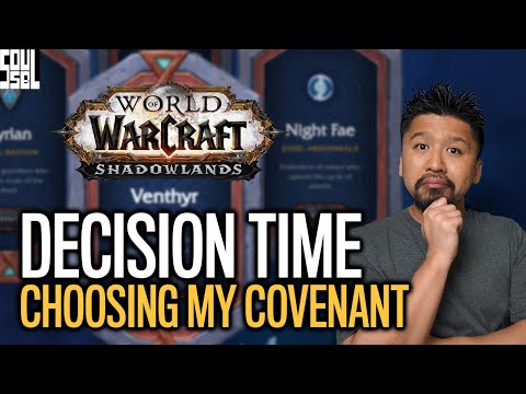 SHOCKED? And My Shadowlands Covenant Choice Is...
