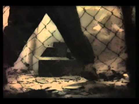 Kill Your TV  on Sep 22 1994