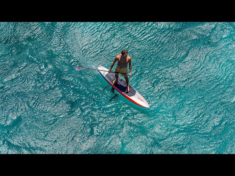 Dragonfly 3 — All-Around, Downwind, Sup, Wing.