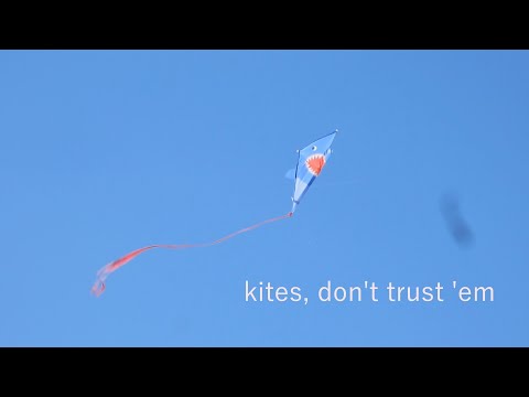Kites, don't trust 'em