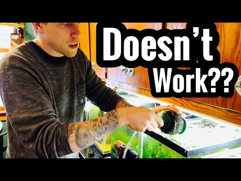 My Sponge Filter is Not Working? FIX