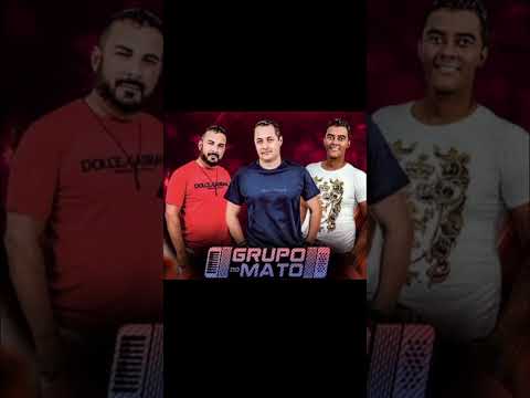 Seleção de Xote - Grupo do Mato Ao vivo - 2025