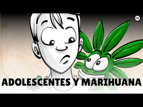 The effects of marijuana on adolescent brains