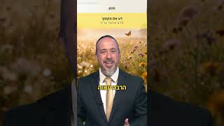 דע את מקומך🙏 הרב אלעד גרין מסביר על התכונה החשובה ביותר באדם🔥 (ארגון ערכים) - התמונה מוצגת ישירות מתוך אתר האינטרנט יוטיוב. זכויות היוצרים בתמונה שייכות ליוצרה. קישור קרדיט למקור התוכן נמצא בתוך דף הסרטון דע את מקומך🙏 הרב אלעד גרין מסביר על התכונה החשובה ביותר באדם🔥 (ארגון ערכים) - התמונה מוצגת ישירות מתוך אתר האינטרנט יוטיוב. זכויות היוצרים בתמונה שייכות ליוצרה. קישור קרדיט למקור התוכן נמצא בתוך דף הסרטון