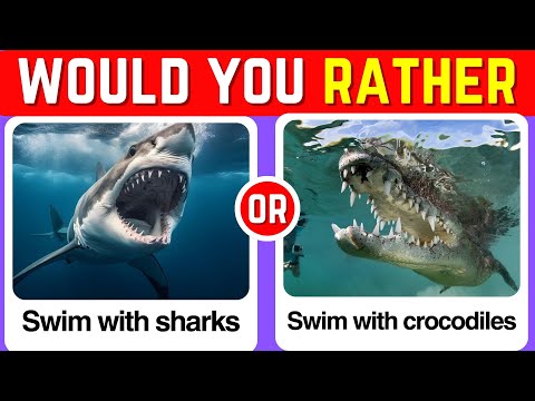 💥 WOULD YOU RATHER: HARD EDITION 🧠 | The Ultimate Tough Choices Challenge!