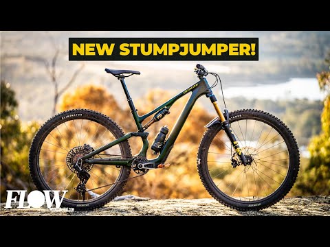 2025 Specialized Stumpjumper 15 Review | A Hugely ...