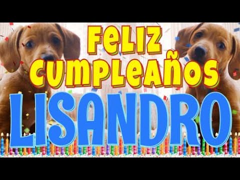 ¡Feliz Cumpleaños Lisandro! (Perros hablando gracioso) ¡Muchas Felicidades Lisandro!