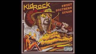Kid Rock  - Stand The Pain