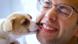 Cat Lovers Try Dog Grooming | The Try Guys