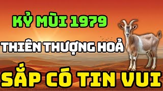 Tuổi Kỷ Mùi 1979 Là Người Có Phúc Có Phần, Về Già Hưởng Lộc Tổ Tiên Nếu Biết Sớm 8 Điều Này