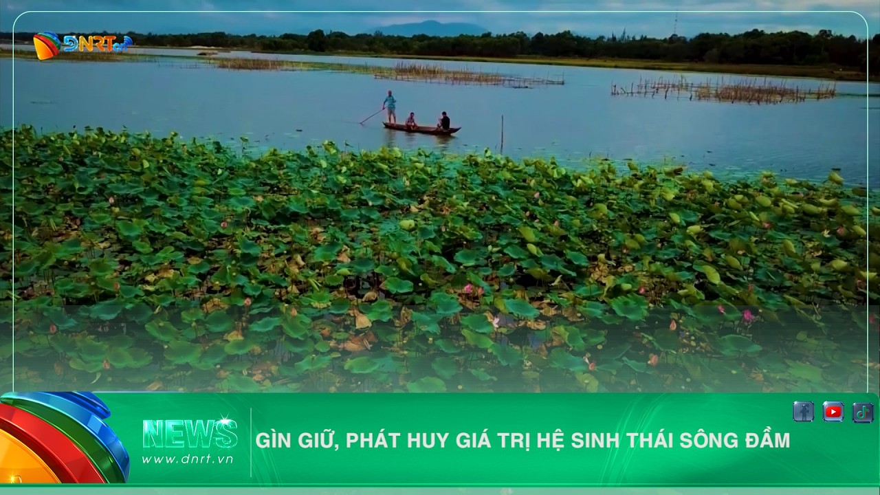 GÌN GIỮ, PHÁT HUY GIÁ TRỊ HỆ SINH THÁI SÔNG ĐẦM