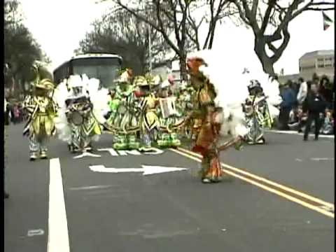 Aqua String Band at the 2011 Somerville, NJ Saint Patrick's Day Parade