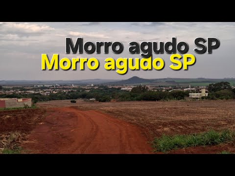 Um pouco de Morro agudo SP.