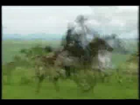 Homenaje a Aldemaro Romero.