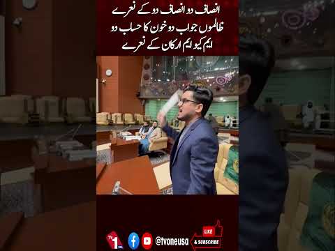 سندھ اسمبلی: سانحہ گل پلازہ پر ایم کیو ایم ارکان کے نعرے