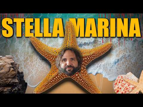 Le stelle marine non sono quel che credi