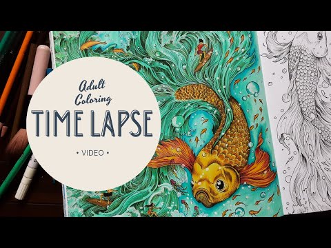 Adult Coloring Time Lapse Video From Worlds Within Worlds Coloring Book