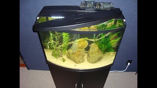 Top Fin 36 Gallon Bowfront Aquarium 3 Month Review +  a Game-Changer Lid Mod