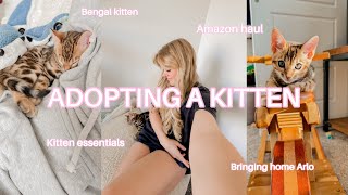 ADOPTING A KITTEN!! 🐈✨ Amazon haul, bengal kitten, bringing him home!