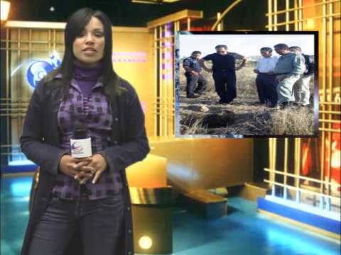 Resumen matutino 8 de Enero 2010.wmv