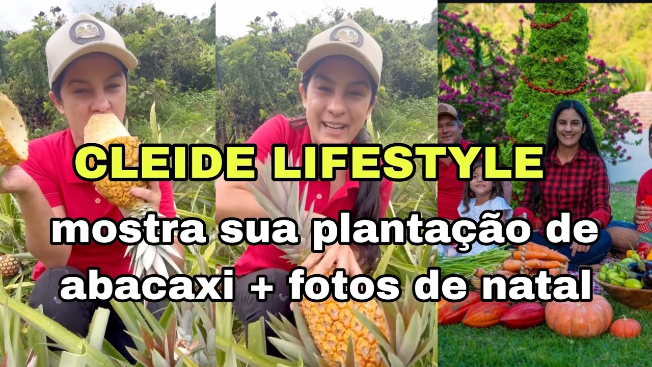 Cleide lifestyle mostra sua plantação de abacaxi e fotos de natal.