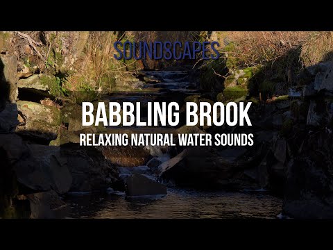 Relaxing babbling brook - Water sounds - Relaxing nature sounds - Binaural 4K