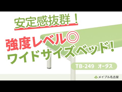 【高田ベッド】TB-249 オーダス