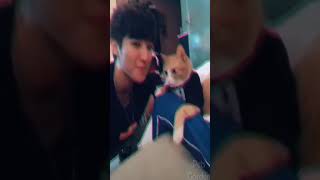 ☆Super Cute Animals☆Cute cats and funy dogs＆cat　videos compilation2021C㊿#Shorts
