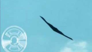preview picture of video 'B2 Stealth Bomber at the Upper Cumberland Air Show'