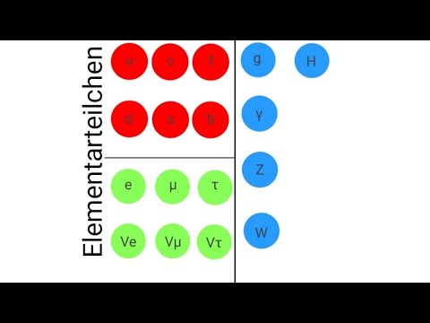 Die Elementarteilchen