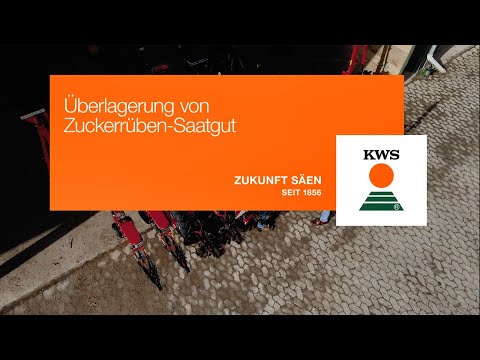 KWS Beratungsvideo: Zuckerrübensaatgut richtig überlagern